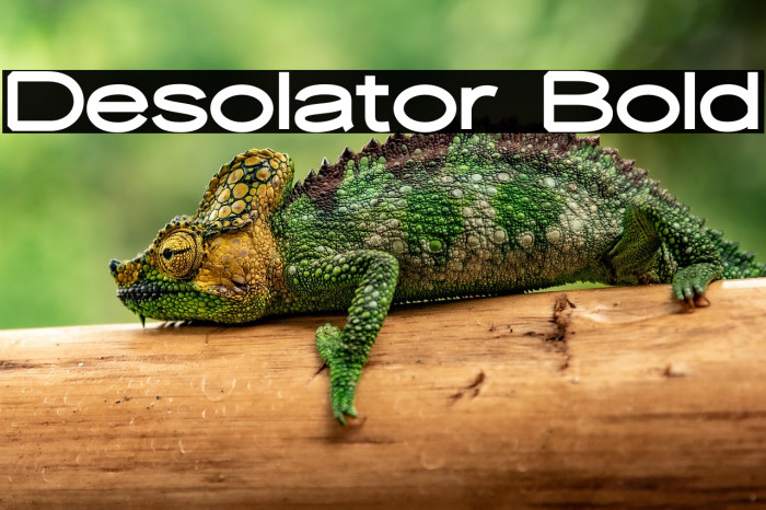 Desolator Bold Example 2
