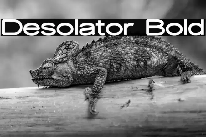Desolator Bold Font examples