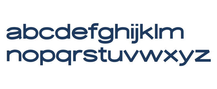 Desolator Bold Lowercase