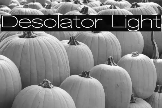 Desolator Light Font examples