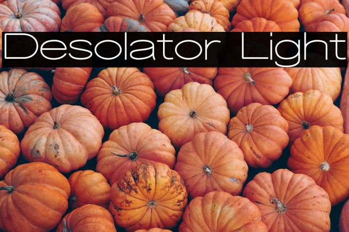 Desolator Light Example 3