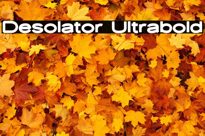 Desolator Ultrabold Example 1