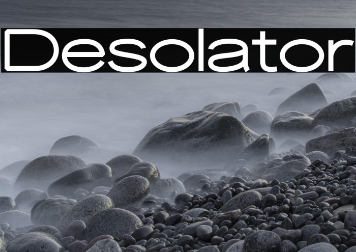 Desolator Example 1