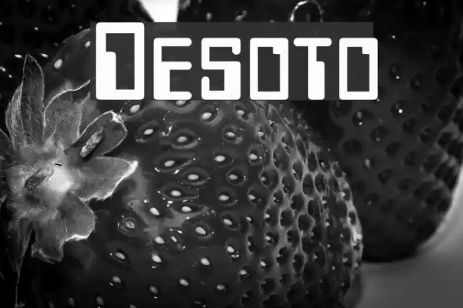 Desoto Font examples