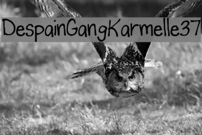 DespainGang_Karmelle_37 Font examples