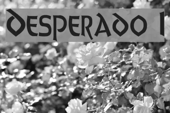 Desperado 1 Font examples