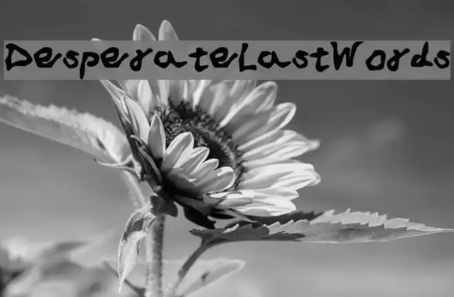 Desperate_Last_Words Font examples