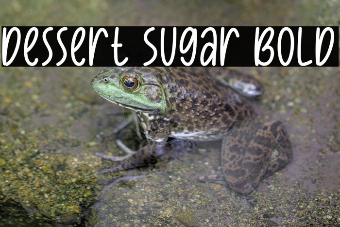 Dessert Sugar Bold Example 3