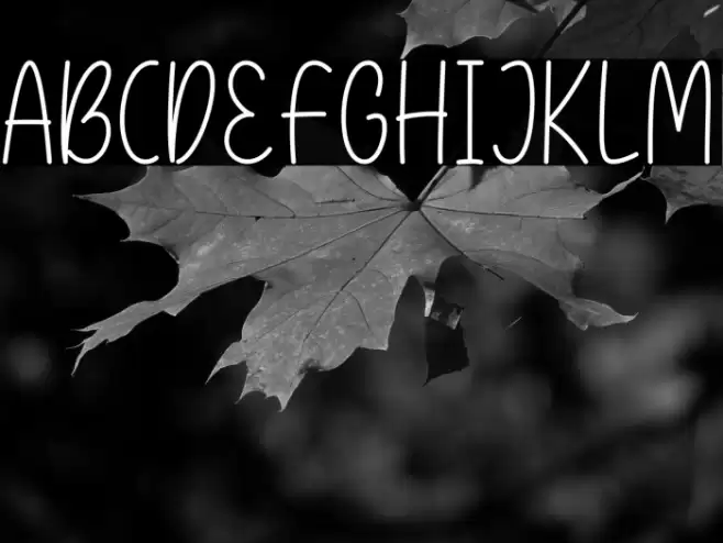 Dessert Sugar Regular Fuentes examples