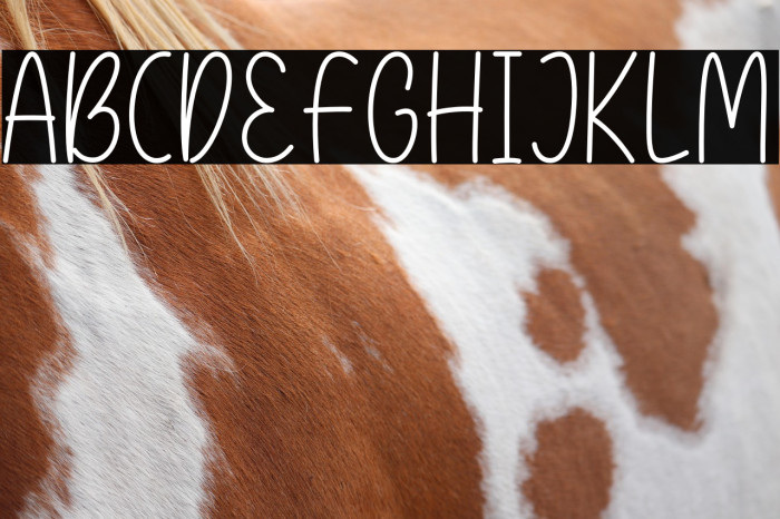 Dessert Sugar Regular Example 2