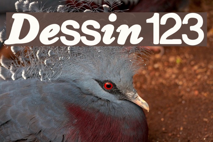 Dessin123 Font examples