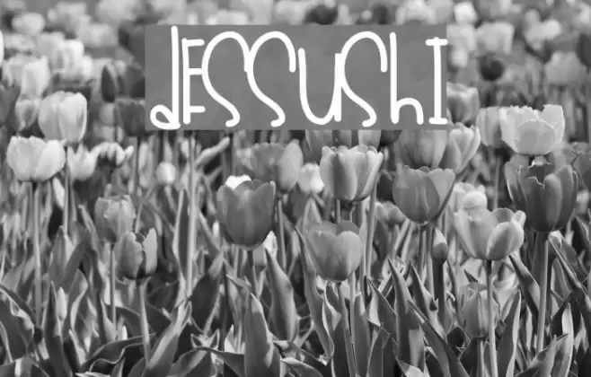 Dessushi Font examples