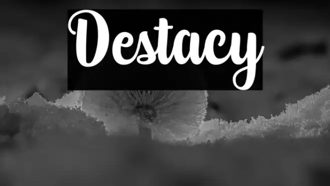 Destacy Example 2
