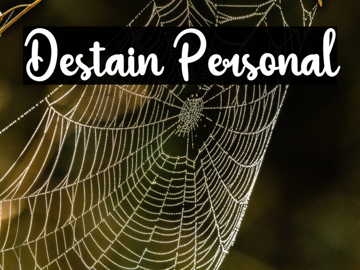 Destain Personal Example 2