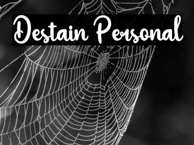 Destain Personal Example 2