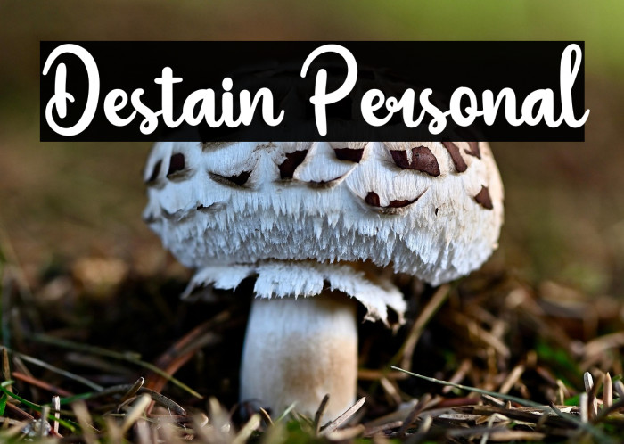 Destain Personal Example 3