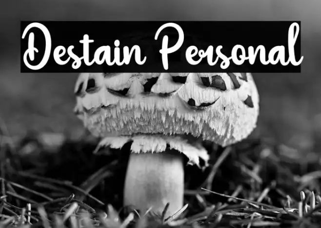 Destain Personal Example 3
