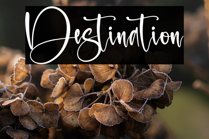 Destination Example 3