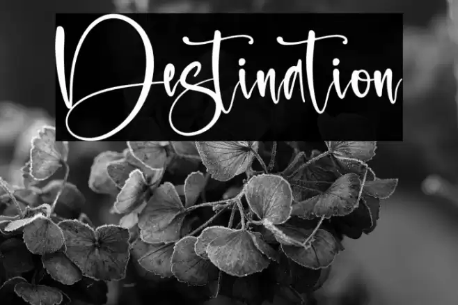 Destination Font examples