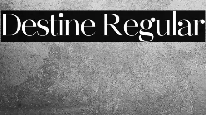 Destine Regular Example 1