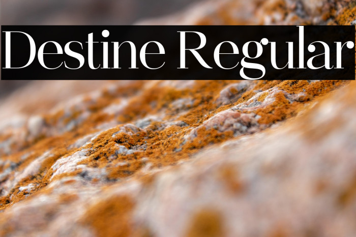 Destine Regular Example 2