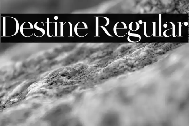 Destine Regular Example 2