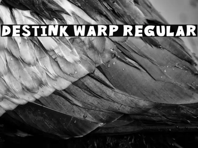 Destink Warp Regular Fuentes examples