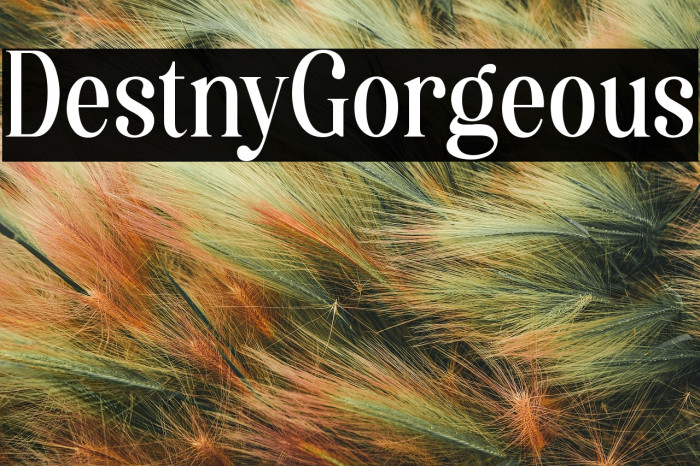 Destiny Gorgeous Example 1