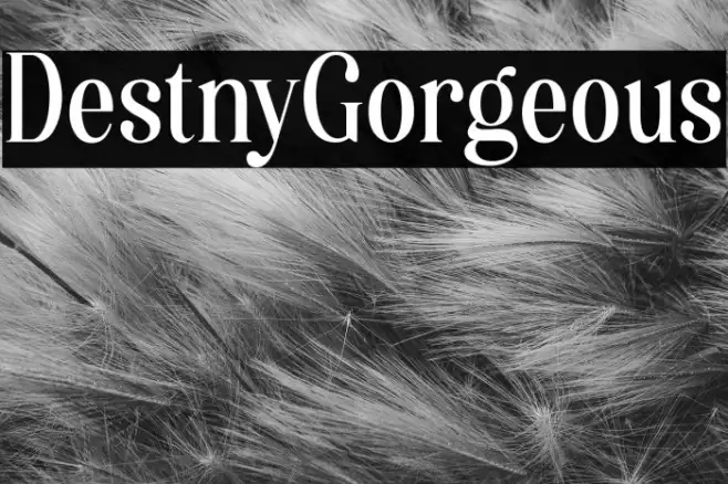 Destiny Gorgeous Example 1