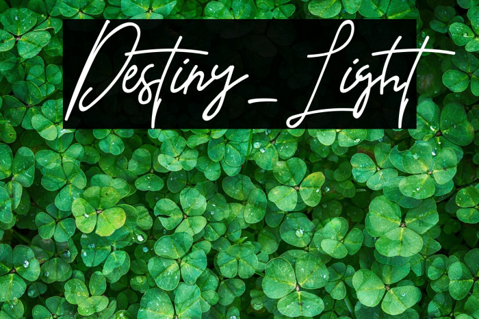 Destiny-Light Example 1