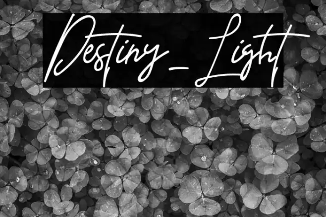 Destiny-Light Example 1