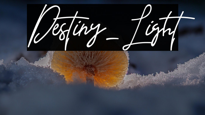 Destiny-Light Example 3