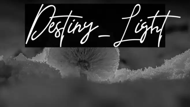 Destiny-Light Example 3