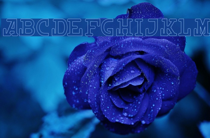 Destiny Light Font examples
