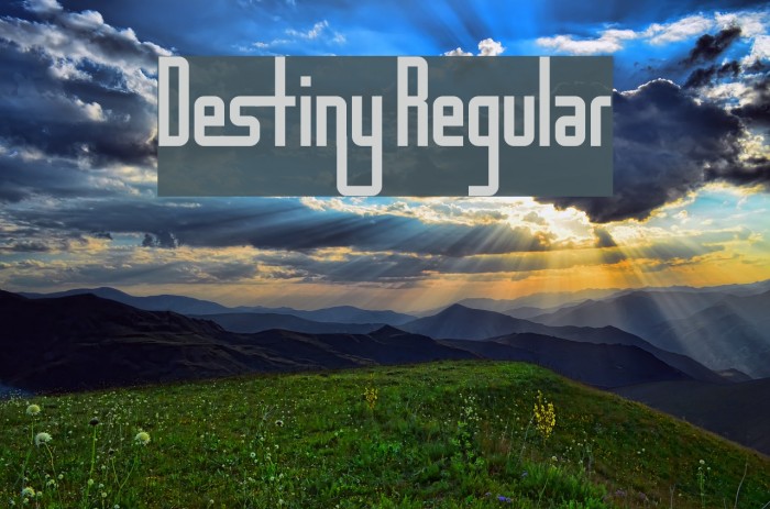 Destiny Regular Font examples