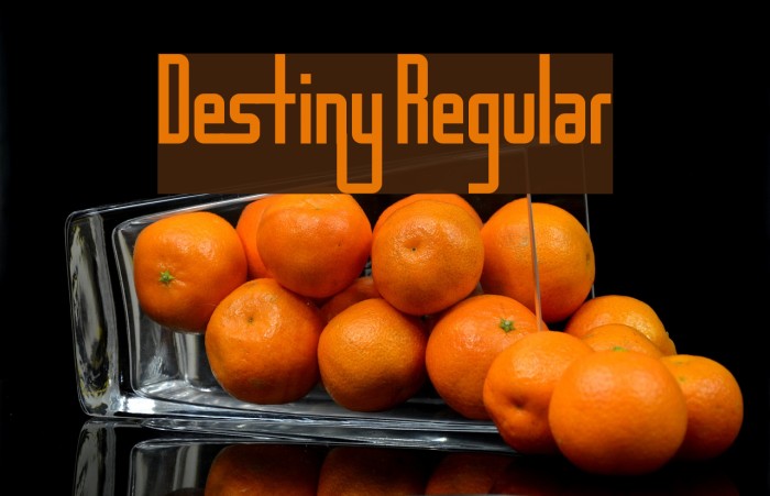 Destiny Regular Font examples