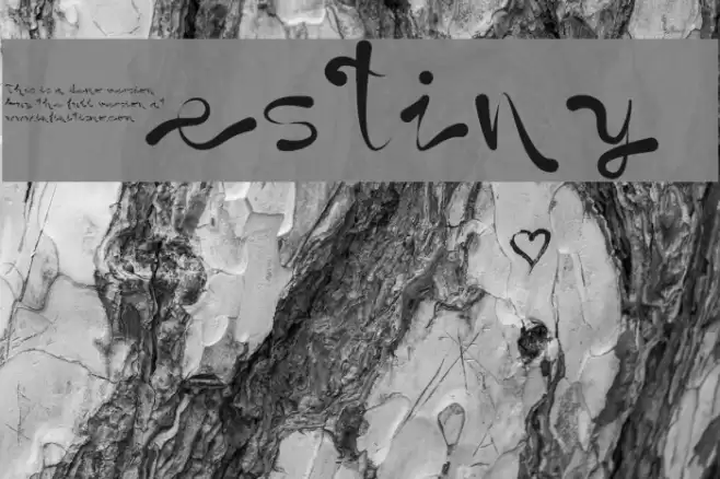 Destiny  Font examples