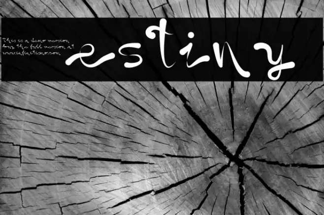 Destiny  Font examples