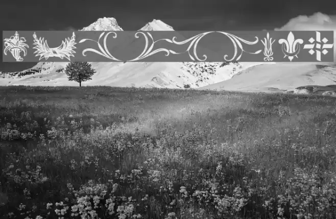 Destiny's Decorative Dings Шрифта examples