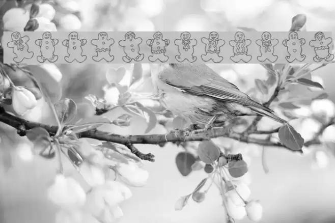 Destiny's Gingerbread Dings Font examples