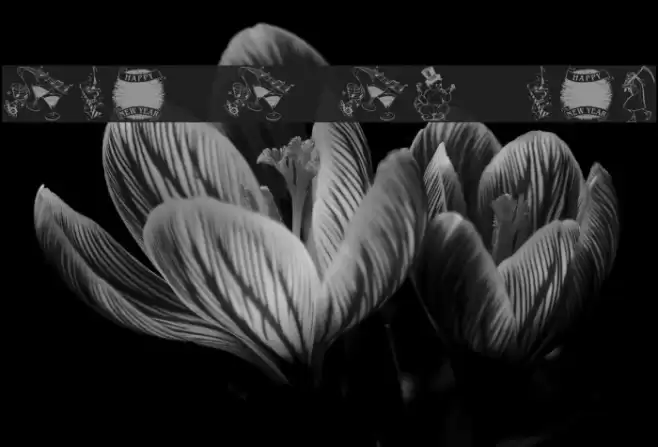 Destiny's New Years Dings Font examples