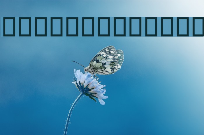 Destkhat VI Bold Example 2