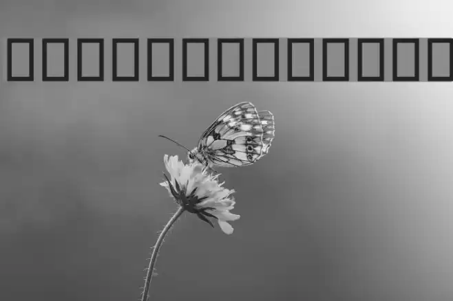 Destkhat VI Bold Font examples