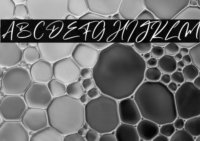 Destomed Example 3