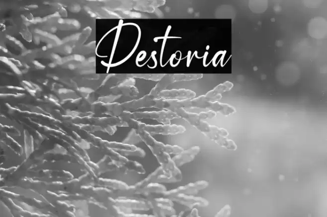 Destoria Font examples
