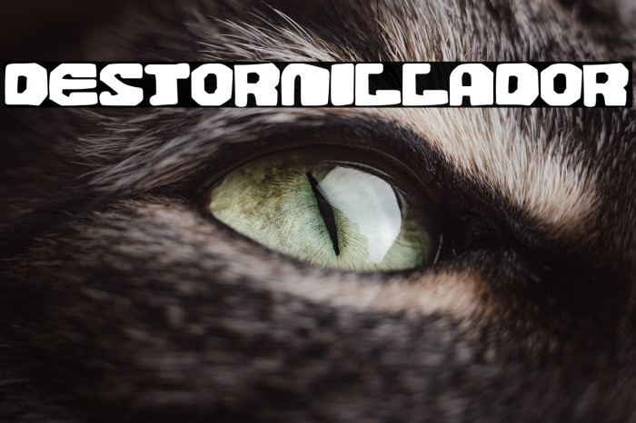 Destornillador Example 3