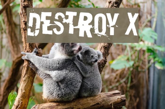 Destroy X Font examples