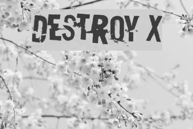 Destroy X Font examples