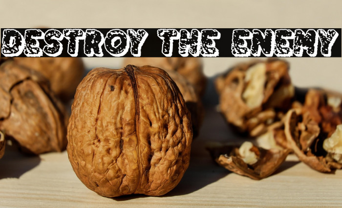 Destroy the Enemy Example 2