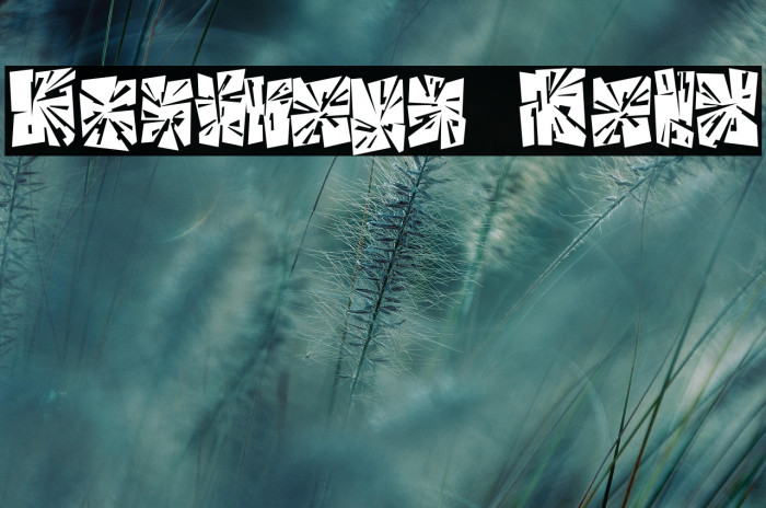 Destroya Bold Example 3